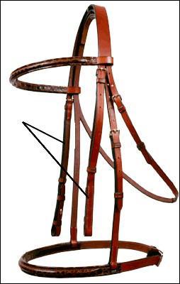 Quelle partie du filet est dsigne sur la photo ?