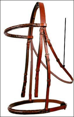 Quelle partie du filet la flche nous montre-t-elle ?