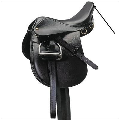 Quelle partie de la selle est dsigne par la flche ?
