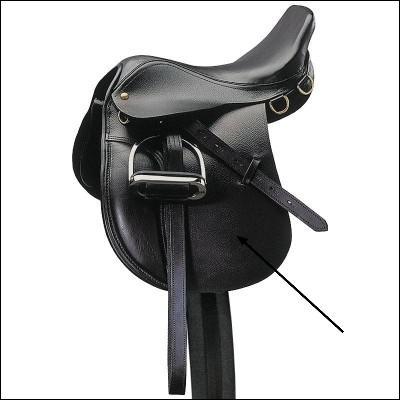 Quelle partie de la selle est dsigne par la flche ?