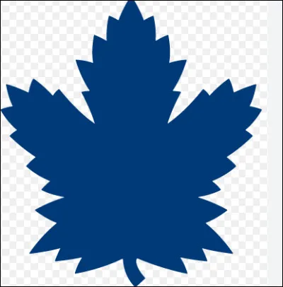 Quelle est cette équipe ?