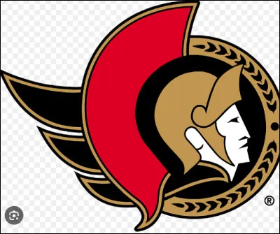 Quelle est cette équipe ?