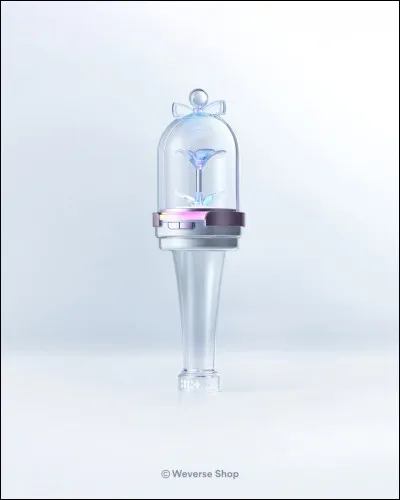 Et lui, à qui appartient-il ?