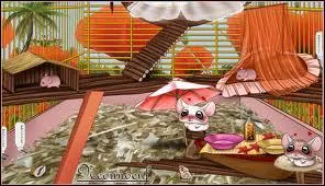 Au dbut on a combien de cage ?