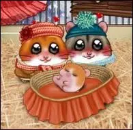 On peut avoir des bbs ?