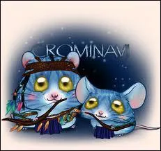 Quelle nouvelle collection est sortie ?