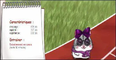 On va o pour s'entraner en rapidit ? et en quoi aussi ?