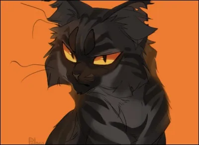 Qui est ce matou foncé ?