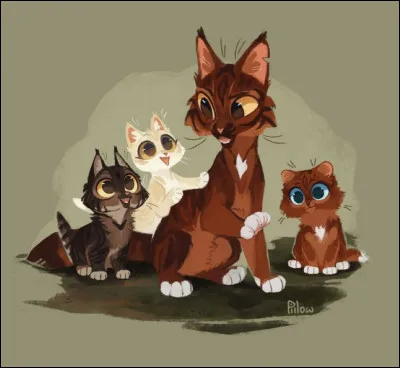 Qui est ce matou au milieu ?