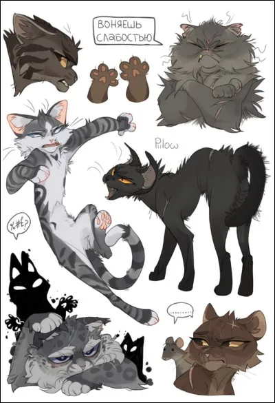 Qui est cette vieille femelle en bas à droite ?