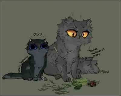 Qui est la jolie femelle à gauche ?