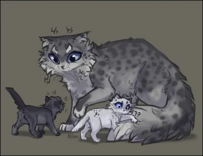 Qui est le petit chaton à droite ?