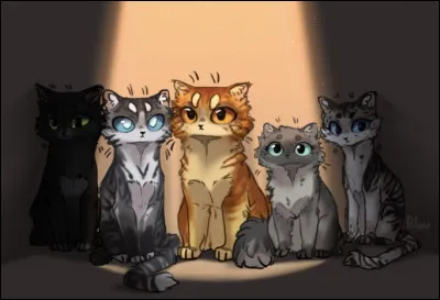 Qui est la femelle à droite dans la lumière ?