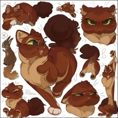 Qui est cette guerrière énergique ?