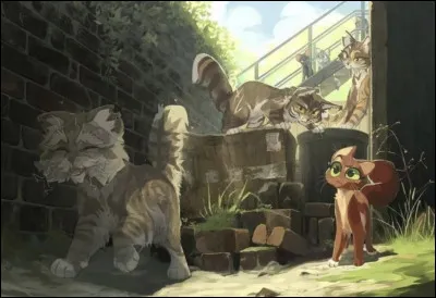 Qui est le matou caché au fond à droite ?