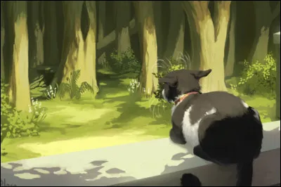 Qui est ce matou qui a lair dattendre désespérément ?