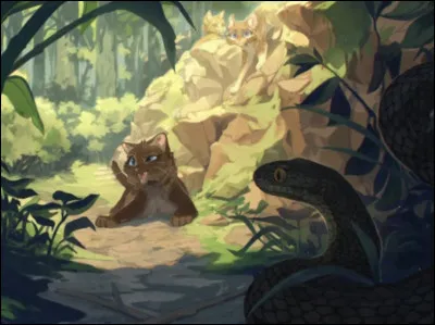 Qui est cette chatte en haut ?