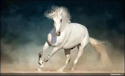 De quelle couleur était le cheval blanc d'Henri IV ?