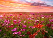 Test Quel est votre nom ? LGDC