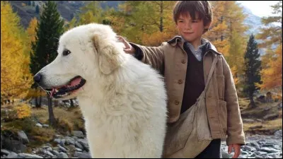 Ce chien de montagne des Pyrénées blanc n'est autre que...