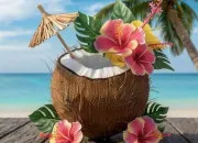 Quiz Culture gnrale plein sud !