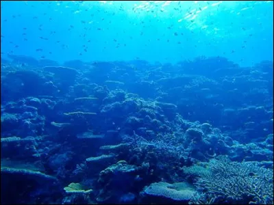 Quel est l'océan le plus petit du monde ?