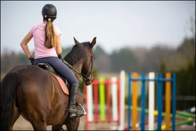 Quel niveau as-tu en équitation ?