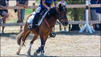 Quelles sont tes disciplines préférées ?