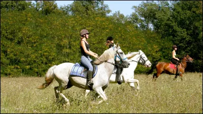 Qu'est-ce que tu préfères faire avec un cheval ?