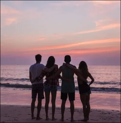 Dans ton groupe d'amis, tu te d&eacute;crirais plut&ocirc;t comme :