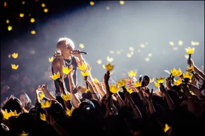 Quelle idole préfères-tu ? (2/2)