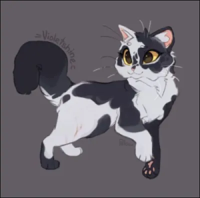 Souris-tu en regardant ses messages ? (Si tu ne l�as pas en contact, clique sur autre.)