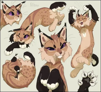 Aimes-tu parler souvent de lui/elle &agrave; tes proches ?