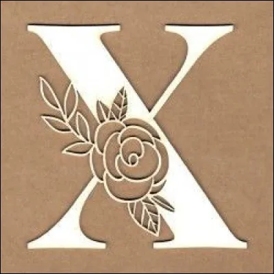 X — Xylographie

La xylographie est l’art de graver sur :