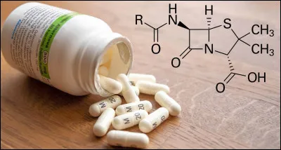 D — Découvertes

Qui a découvert la pénicilline en 1928 ?