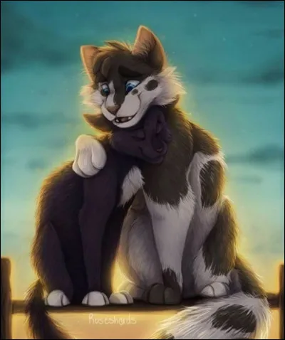 Comment s'appelle le personnage principal ?