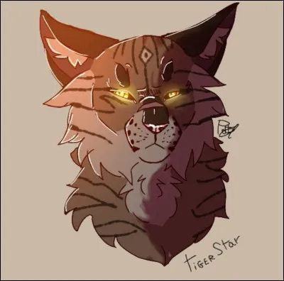 Comment meurt Étoile Brisée ?