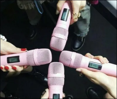 Si tu &eacute;tais dans un groupe K-pop, tu serais...