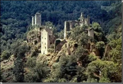 Je viens de voir un reportage sur les orpailleurs de l'Alaska. Un kilogramme d'or pèse un kg mais un litre d'or, combien pèse-t-il ?