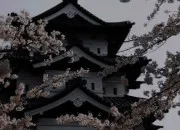 Test Qui serais-tu dans un royaume japonais ?
