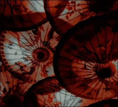 Quel plat japonais te tente le plus ?