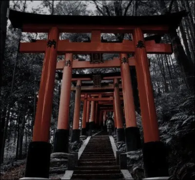 Quelle couleur te repr&eacute;sente le plus ?