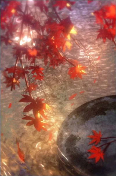 Quand tu dois apprendre quelque chose de nouveau, tu pr&eacute;f&egrave;res�