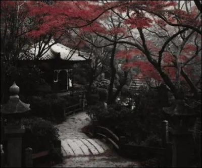 Quelle ville japonaise te fait le plus r&ecirc;ver ?