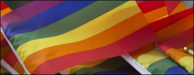 Comment s'appelle l'orientation, si on est une fille et qu'on n'aime que les filles ?