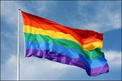 Combien existe-il de drapeaux LGBTQIA+ ?