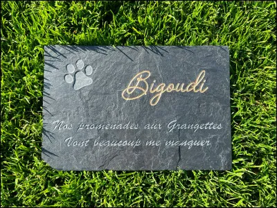 Vous trouvez une tombe sur laquelle il est écrit : Repose en ________.