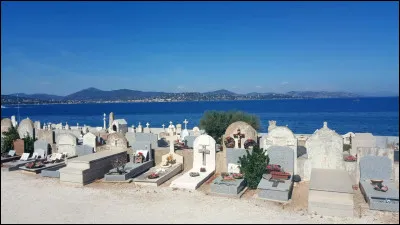 Problème : aucun de vous n'en a ! Vous décidez alors de vous enfuir en courant le plus vite possible et de prévenir le _______ de la ville.