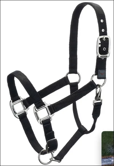 Qu'est-ce que cet objet ?