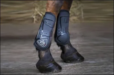 Qu'est-ce que ces objets ?